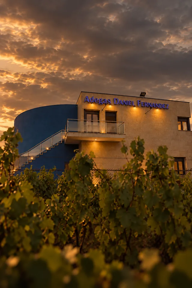 Fachada de Adegas Daniel Fernández entre viñedos al atardecer en Monterrei