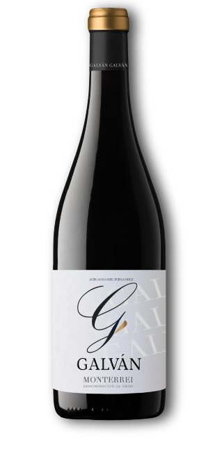 Botella de vino Galván tinto Monterrei (1)