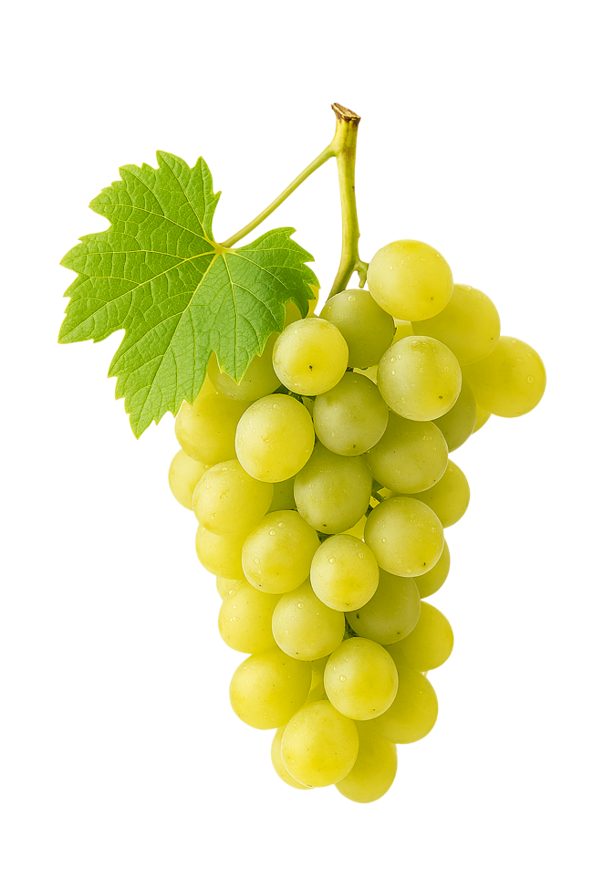 Racimo de uva Godello
