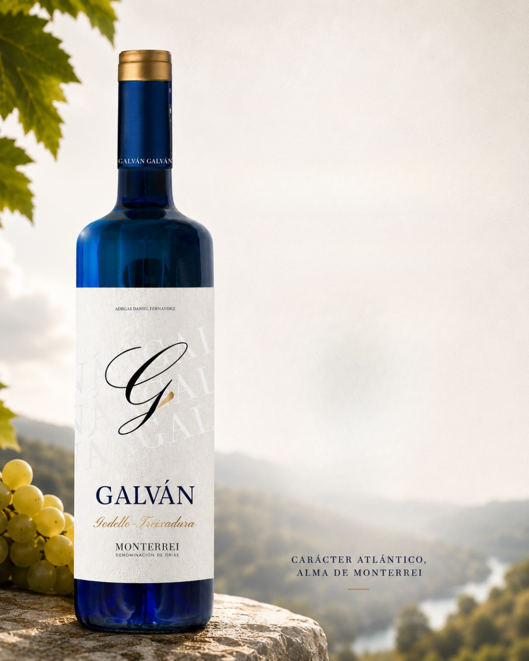 Vinos Galván y Golfiño de Bodega Daniel Fernández