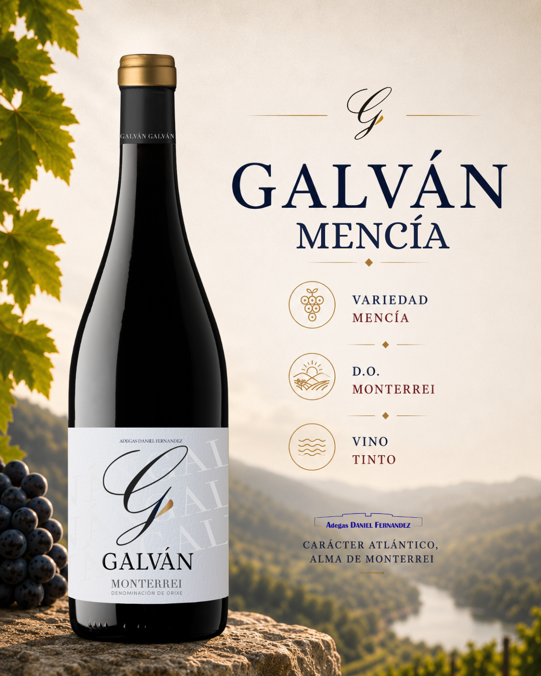 Galván Mencía D.O. Monterrei